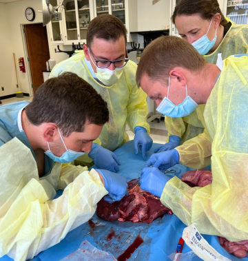 Four trainees practice surgery in wet lab.