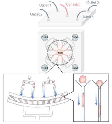 Diagram of a microfluidic device with one central cell inlet and four outlets, with zoomed-in views showing cells flowing into narrow channels and being squeezed into elongated shapes as they pass through.