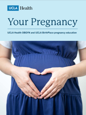 Your Pregnancy Brochure Cover