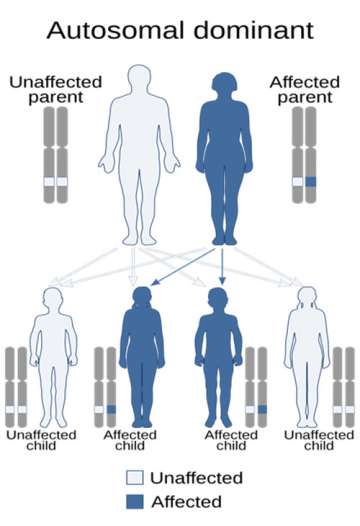 Autosomal Dominant