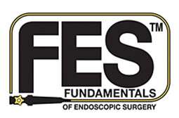 Fundamentals of Endoscopic Surgery