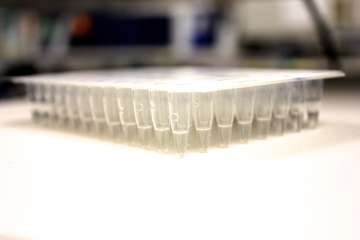 Immunogenetic Samples