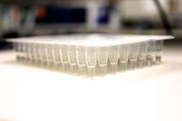 Immunogenetic Samples