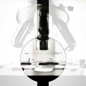 Microscope