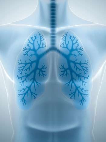 Lung Scan X-Ray Image