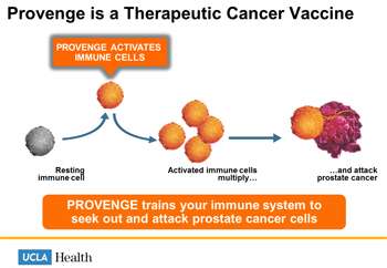 Diagram of provenge vaccine's interaction with cancer cells