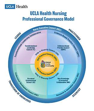 UCLAH-NPG-visual