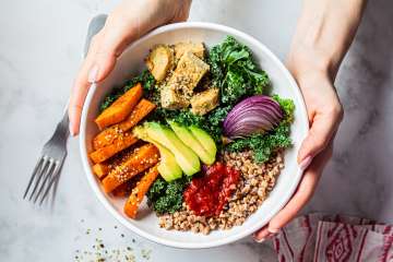 food bowl