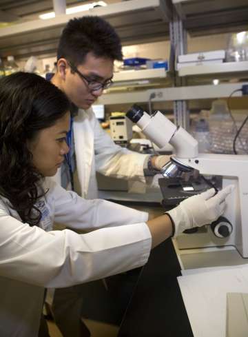 Doctors looking at Microscope