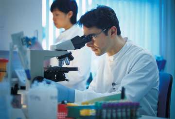 Researcher looking into a microscope