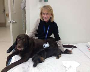 Amy Peer with Henry and Bender