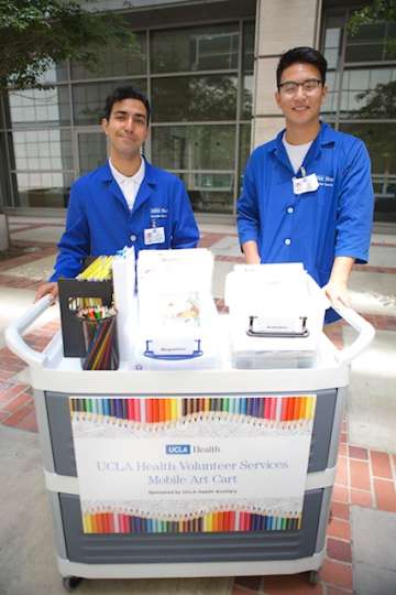 Art_Volunteer_Services