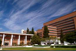 Headache Pain Clinic