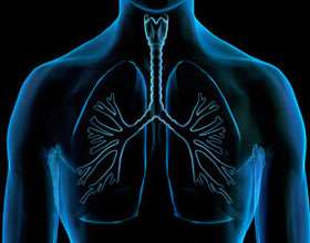 X-ray Lungs