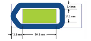GeoMx Slide