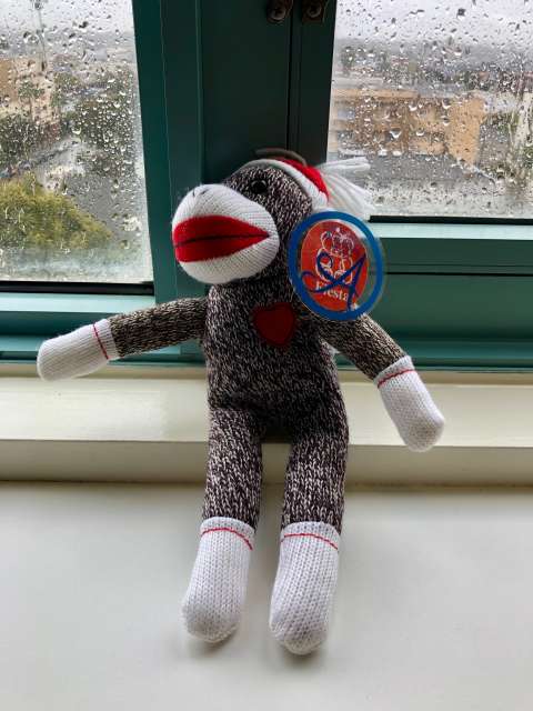 A stuffed animal for comfort