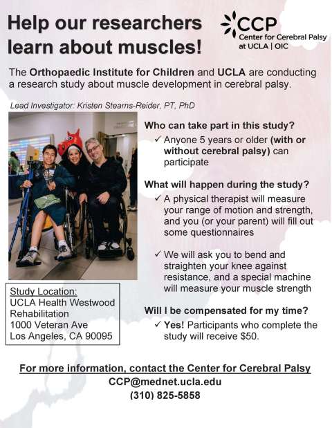 Muscle Stiffness Study recruitment flyer 2024