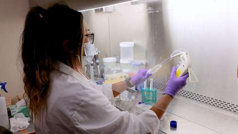 Individual in a white lab coat stands in front of a lab hood using a pipette 