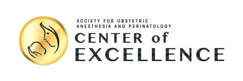 SOAP Center of Excellence designation asset 