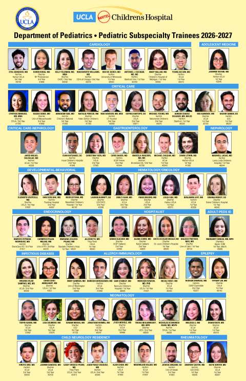 Grid of headshot portraits arranged in rows on a yellow background