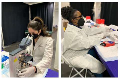 Care Harbor 1 Pathology