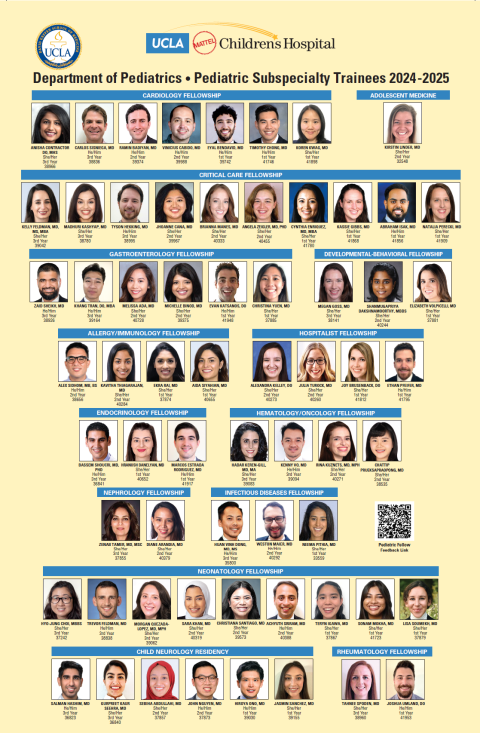 ay24-25_fellows_poster