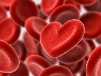 Heart shaped blood cells