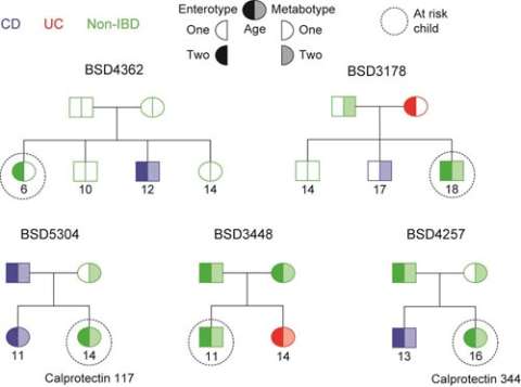 Enterotype IBD Research