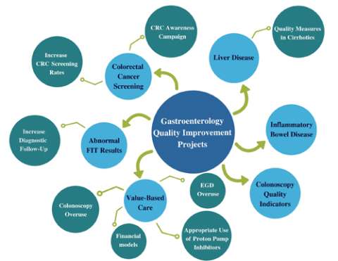 GI QI Projects Diagram