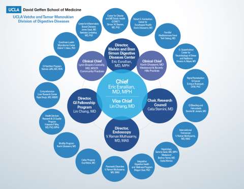 Organizational Chart Image Preview