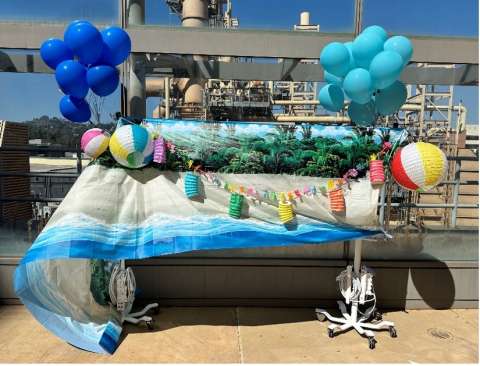 Paradise Decorations