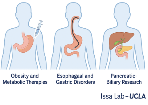 Dr. Danny Issa Areas of Research