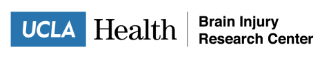 BIRC Logo