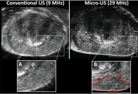 Brisbane Lab Figure 2