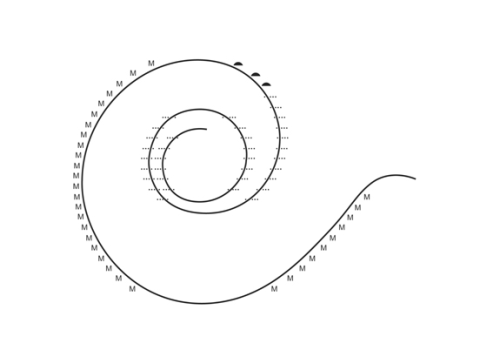 Example of two-dimensional representation of peripheral cochlear structures as developed by Stacey Guild