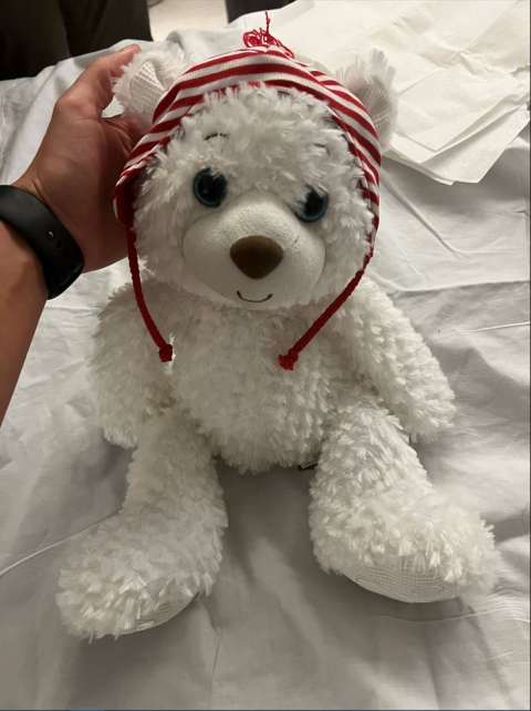 A Special Teddy Bear (December 2021)