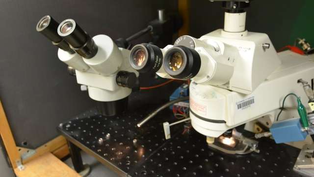 Olcese Lab Thumbnail