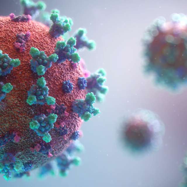 COVID-19 virus in microscopic form