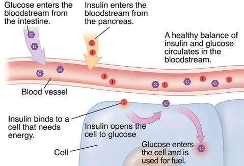diabetes2