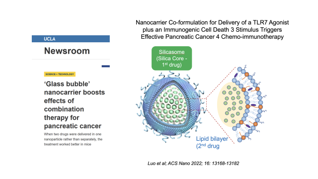News graphic showing nanoparticle 'glass bubble' design for pancreatic cancer therapy with labeled silicone core and lipid bilayer.