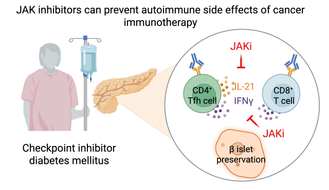 Visual Abstract