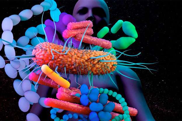 Illustration of Intestine