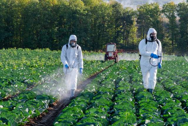 Two people in protective suits and respirators spraying crops in a field.