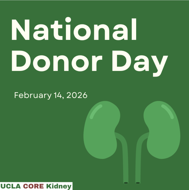 CORE Kidney Kidney Donation Flyer