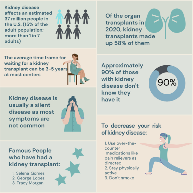 Kidney Fast Facts