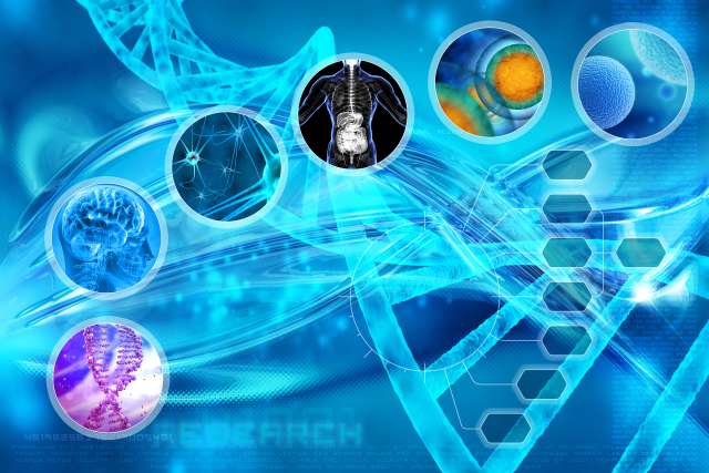 Digestive Diseases Research