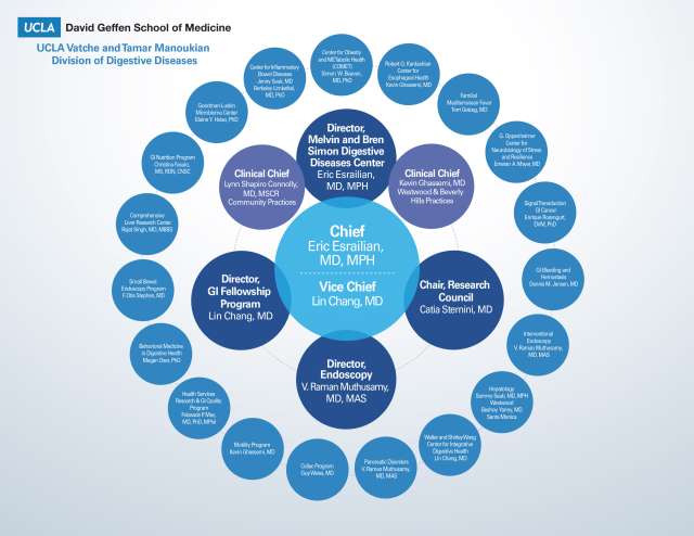 UCLA Digestive Diseases Organizational Chart