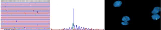 Unspecific graphs and charts