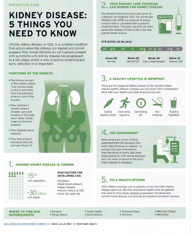Infographic titled “Kidney Disease: 5 Things You Need to Know,” explaining CKD risks, screening, management, and UCLA care options.