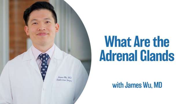 Link to Adrenal Glands